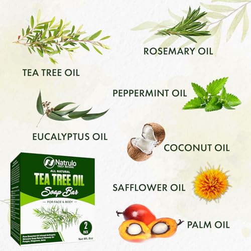 Tea Tree Oil Soap Bar for Face & Body – All Natural Remedy Skin - Product Imagery