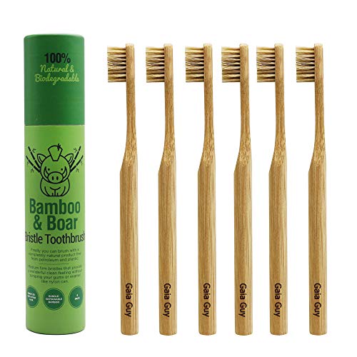 Gaia Guy Natural Bristle Bamboo Toothbrush (NO Nylon - Boar Hair - Product Imagery