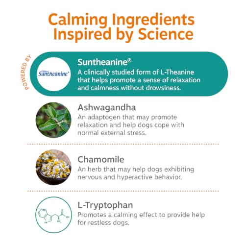 Zesty Paws Calming Chews for Dogs - Dog Calming Supplement, PB, - Product Imagery