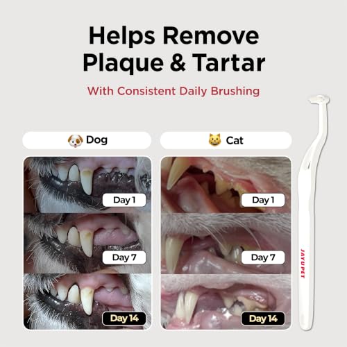 JAYU PET Dental Care Brush with Soft Bristles 1ea - Product Imagery