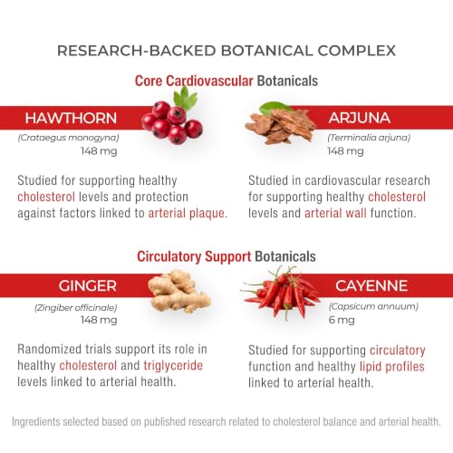Artery Plaque Removal Formula | 4-Element All-Natural Supplement - Product Imagery