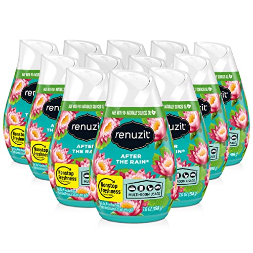 Renuzit Adjustable Gel Air Freshener Cone, After the Rain Scent, - Product Imagery