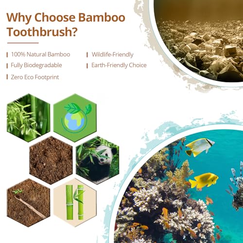 Virgin Forest Bamboo Toothbrushes 10pk, Soft BPA Free - Product Imagery