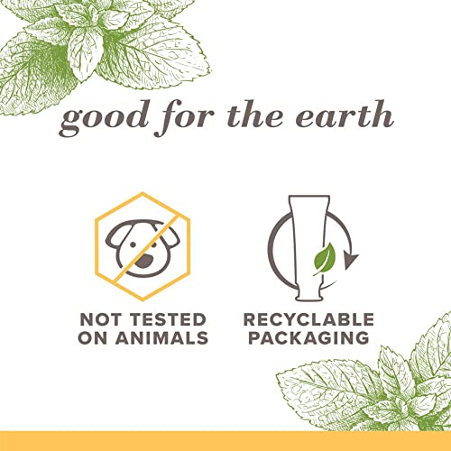 Burt's Bees Toothpaste, Natural Flavor, Fluoride-Free, Purely - Product Imagery