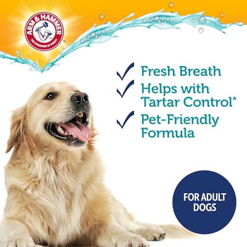 Arm & Hammer Complete Care Enzymatic Dog Toothpaste, Chicken, - Product Imagery