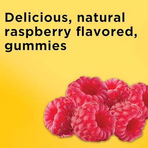 Nature Made Iron 18 mg per Serving Gummies with Vitamin C, 60 - Product Imagery