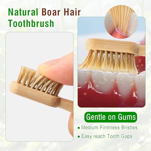 Boar Bristle Bamboo Toothbrushes Plastic Free 4 Pack - Product Imagery