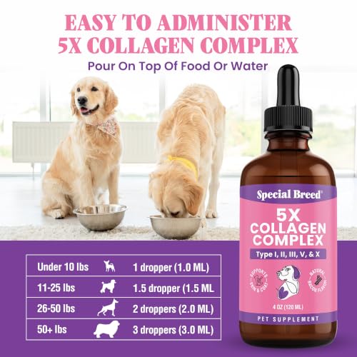 Premium Collagen for Dogs - Liquid Support for Joints, Skin, - Product Imagery