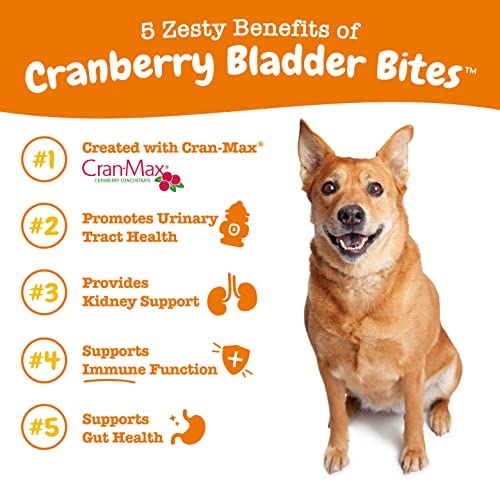Zesty Paws Cranberry Supplement for Dogs - Bacon, 90 Ct - Product Imagery