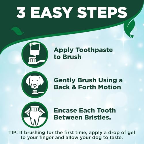Vet's Best Dog Toothpaste & Toothbrush Dental Care Kit, With - Product Imagery