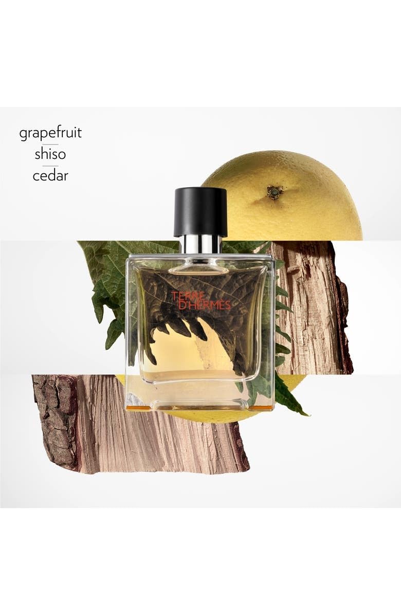 Hermes Terre D Hermes Parfum Pure Parfume Spray for Men 2 5 - Hermès Official Imagery - 4
