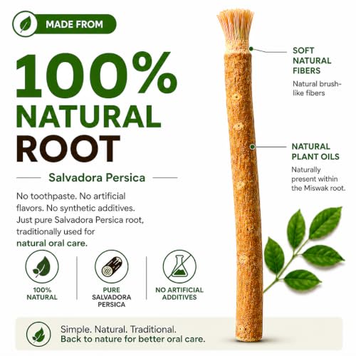 Miswak Sticks for Teeth Pack of 12 with Holder - 100% Natural - Product Imagery