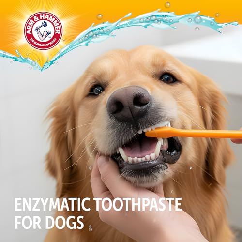 Arm and Hammer Complete Care Dog Dental Kit, Chicken Flavor, 2.5 - Product Imagery