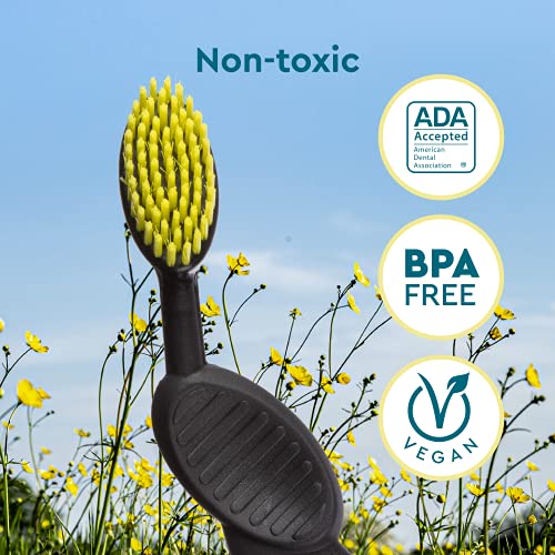 RADIUS Toothbrush, Flex Brush, Soft Bristles, Right Handed, - Product Imagery