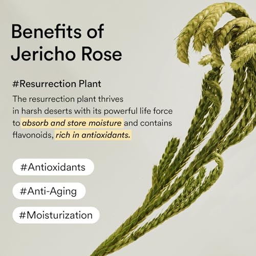 Abib Jericho Rose Cream 2.53 fl oz, Moisturizer for Dry and - Product Imagery