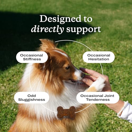 PetLab Co. Joint Care Chews for Dogs, 30 Soft Chews, Salmon - Product Imagery