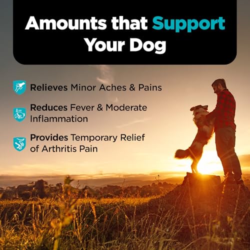 Nutri-Vet Dog Aspirin, Aspirin Tablets for Large Dogs, 300mg, 75 - Product Imagery