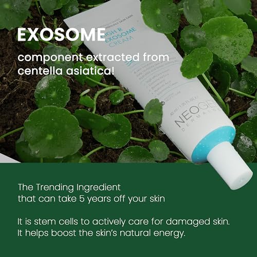 NEOGEN Dermalogy High R Exosome Cream, 1.36 fl oz (40ml) - Product Imagery