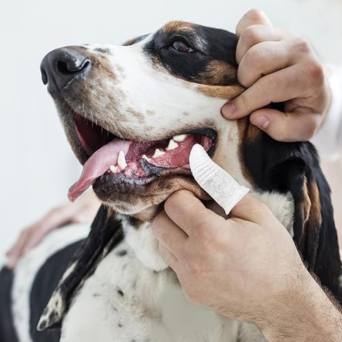 Pet Republique Soft Fabric Finger Toothbrush Kit for Dogs and - Product Imagery