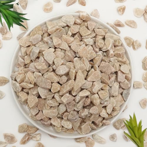 Lechloris 10lb Pea Gravels Natural River Rocks, Decorative Gravels for Plants- Small Pebbles-Ideal for Aquarium, Fish Ta