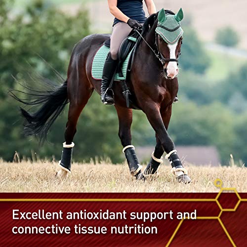 Vita Flex Pro Pure C Antioxidant Supplement, 2 lb, 128-Day Supply - Product Imagery