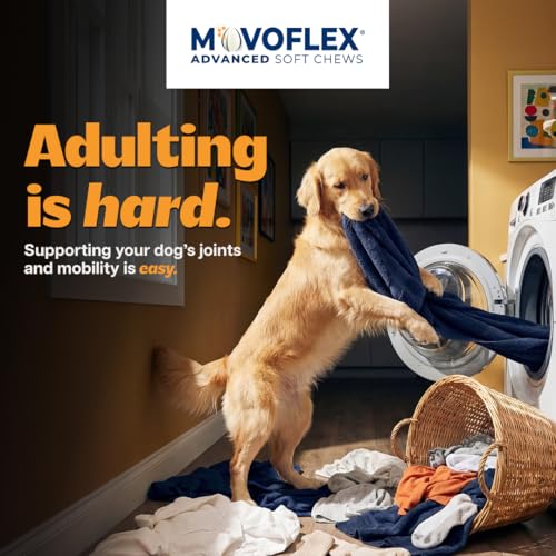 MOVOFLEX Advanced Soft Chews Hip and Joint Support Supplement - Product Imagery