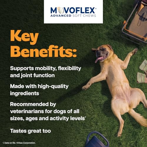 MOVOFLEX Advanced Soft Chews Hip and Joint Support Supplement - Product Imagery