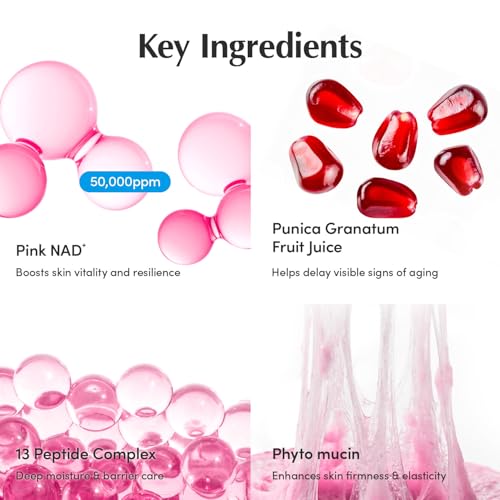 EQQUALBERRY NAD+ Peptide Boosting Cream – NAD+ 5% & 13 Peptides - Product Imagery