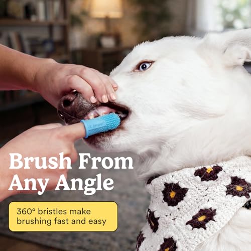 Jasper Dog Toothbrush, 360° Finger Toothbrush for Dogs & Cats, - Product Imagery