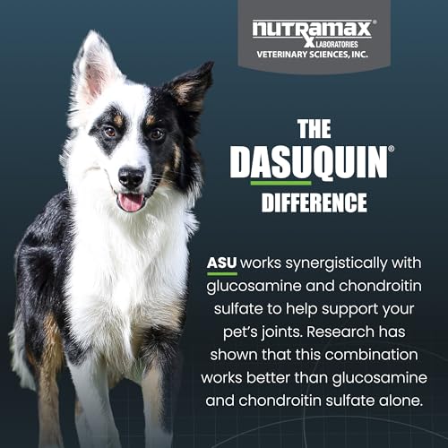 Nutramax Dasuquin MSM Joint Supplement, Small/Med Dogs, Chew - Product Imagery