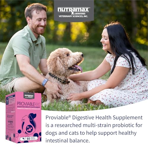 Nutramax Proviable Probiotics + Prebiotics, for Dogs & Cats, - Product Imagery