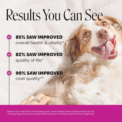 10-in-1 Dog Multivitamin Supplement with Glucosamine & - Product Imagery