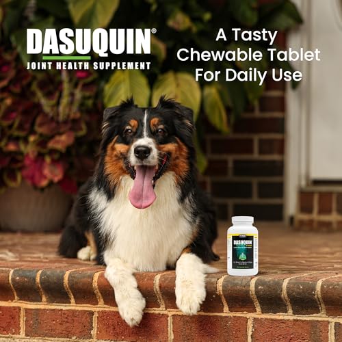 Nutramax Dasuquin MSM Joint Supplement, Small/Med Dogs, Chew - Product Imagery