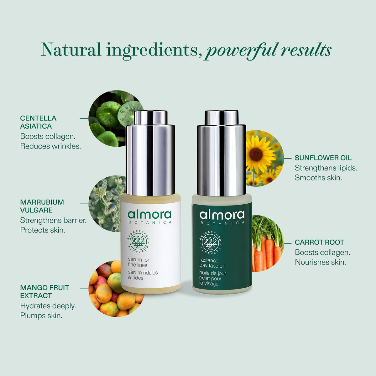 Deluxe Travel Skincare Set - Almora Botanica Official Imagery - 3