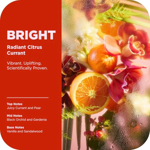 OLLY Bright Body Scrub with Ginseng, Caffeine & Vitamin C– - Product Imagery
