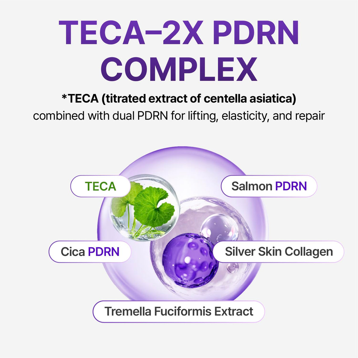 CENTELLIAN 24 PDRN Firming Set - CENTELLIAN 24 Official Imagery - 8