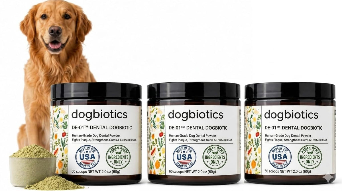 DE 01 Dog Dental Powder - Dogbiotics Official Imagery - 8