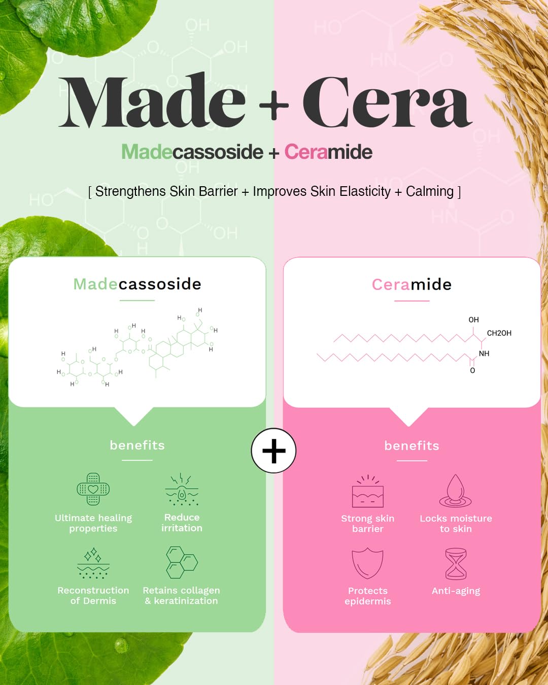 BEISIKS SKINRxLAB MadeCera Cream, Ceramide and Madecassoside, 1.69 fl oz – full view