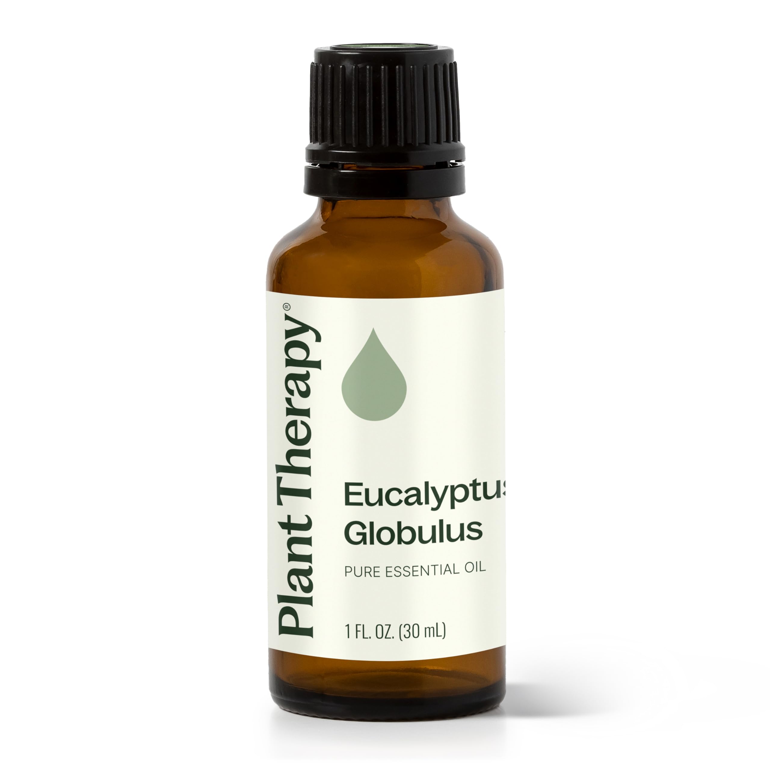 Plant Therapy Eucalyptus Globulus Essential Oil 30 mL Pure Essential Oil