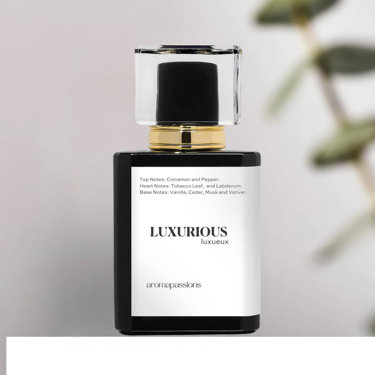 LUXURIOUS - aromapassions Official Imagery - 5