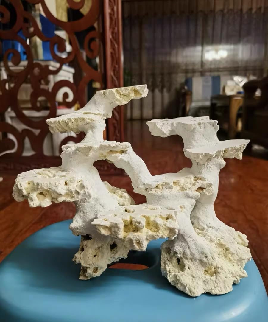YZHZOM Dry Base Rock for Aquarium White Coral Ornament Sea Base Rocks for Aquarium Aquascaping (7lb,Mix Size & Shape) – 