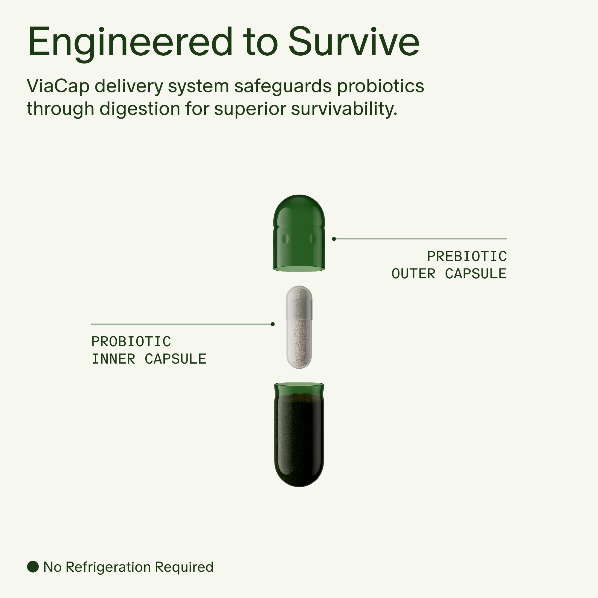 Seed DS-01 Daily Synbiotic Probiotic + Prebiotic 30-Day