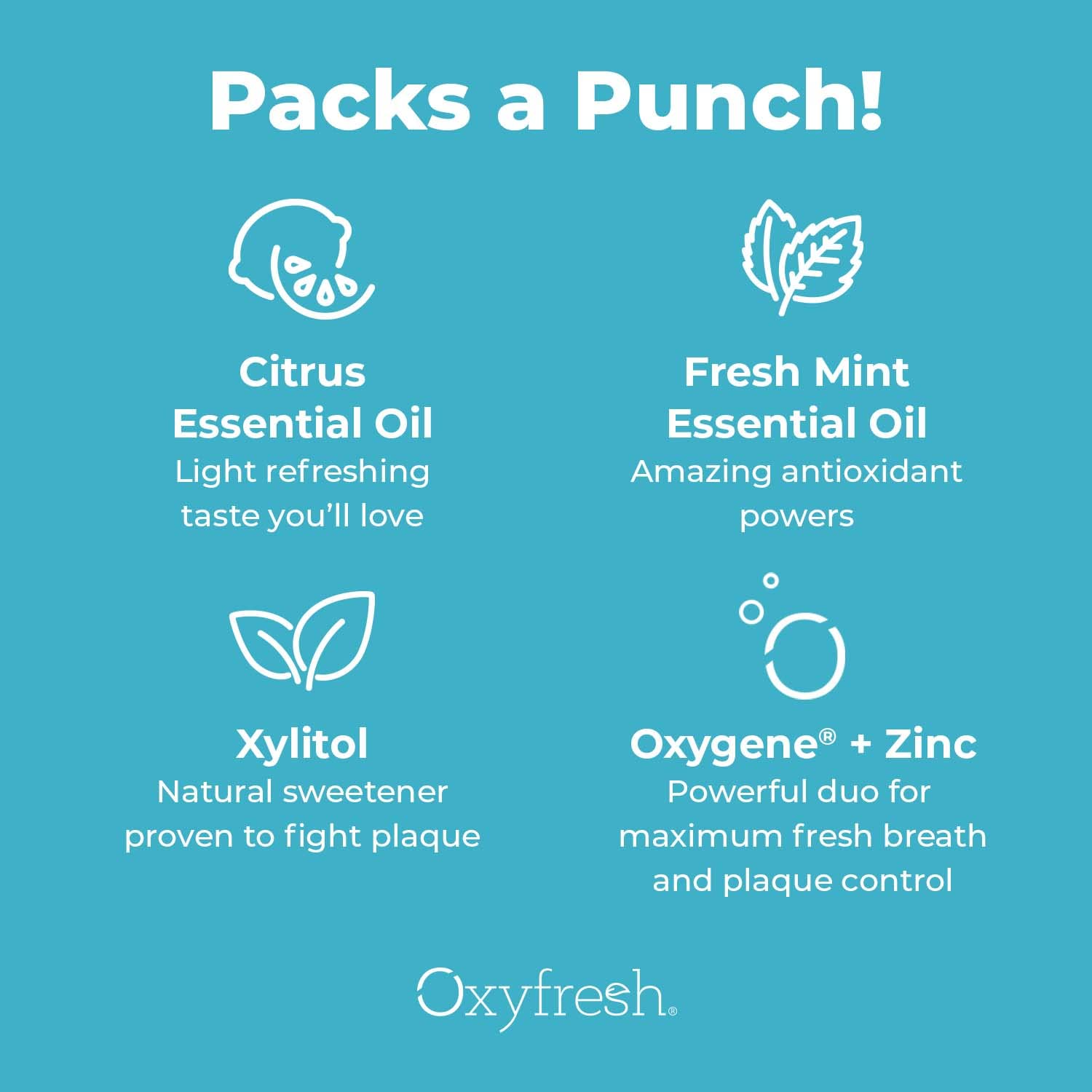 Oxyfresh Maximum Fresh Breath Lemon Mint Toothpaste - Clean Teeth & Fresh Breath - Natural Essential Oils & Natural Xylitol to Help Fight Tartar - SLS & Fluoride Free - 5 oz