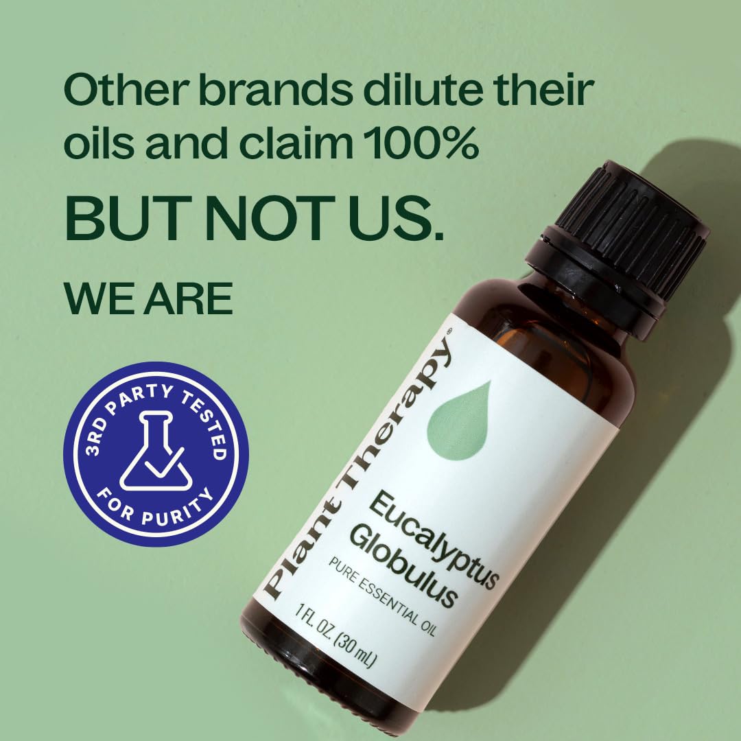 Plant Therapy Eucalyptus Globulus Essential Oil 30 mL Pure Essential Oil