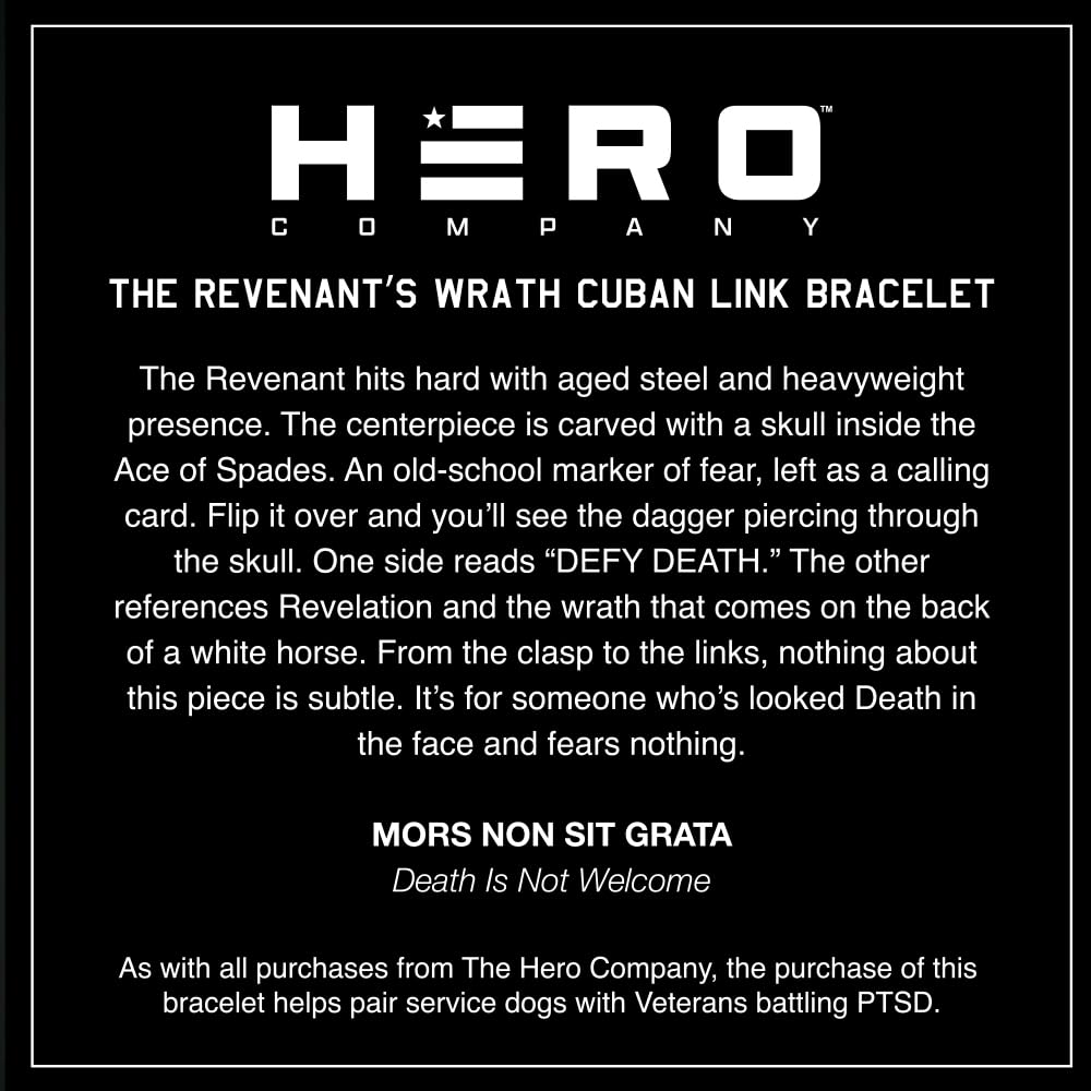 Hero Company – Link on display