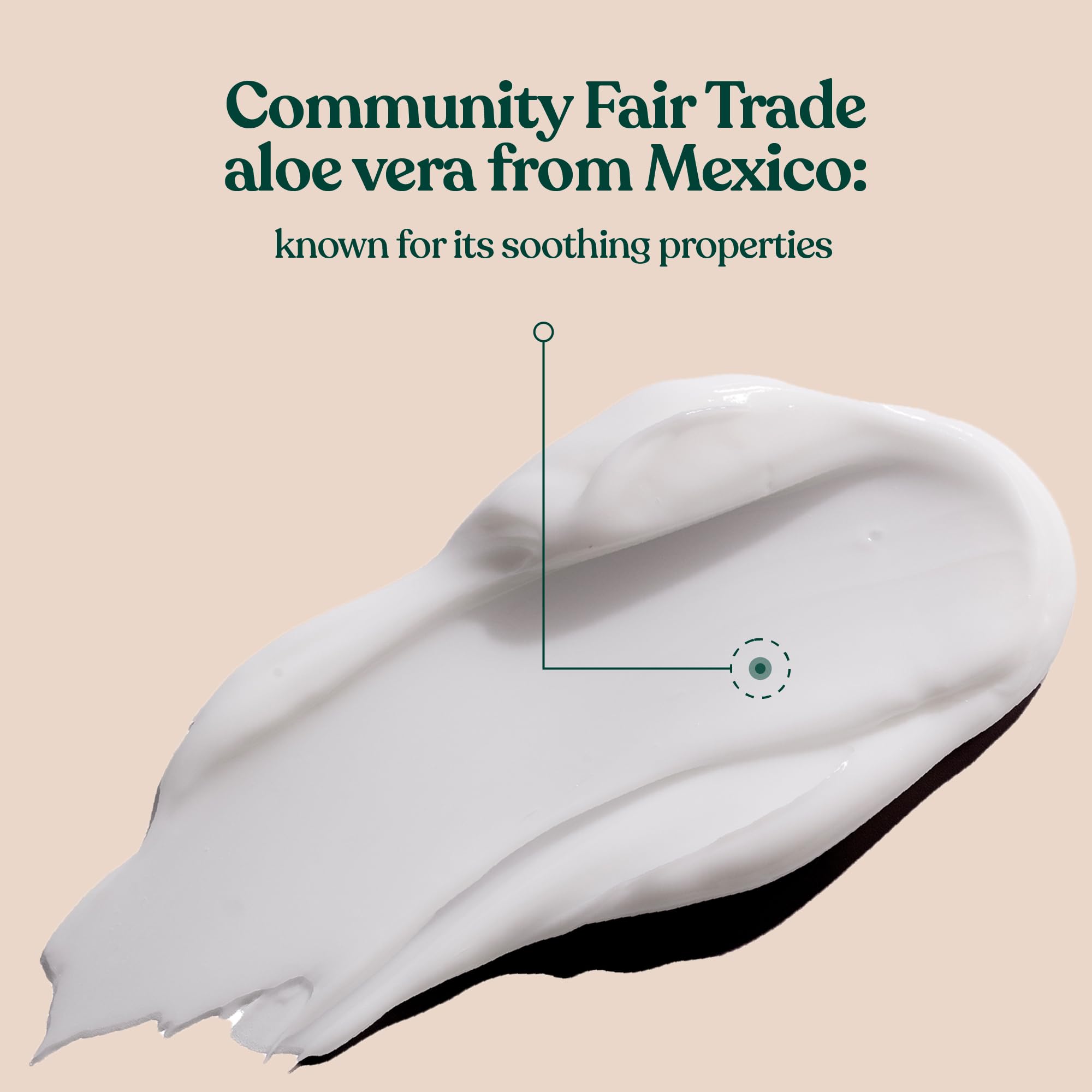 The Body Shop Aloe Vera Day Cream for Sensitive Skin in 50ml jar, showing the moisturizer with aloe vera ingredients.