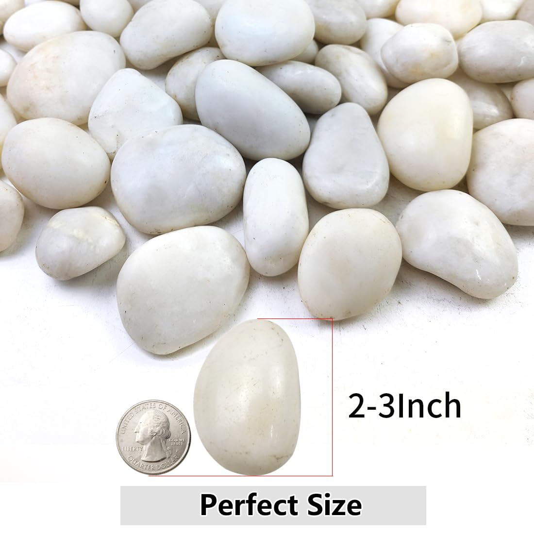 YISZM 10lbs White River Rocks, 2-3 Inch Natural Pebbles for Indoor Plants – close-up detail