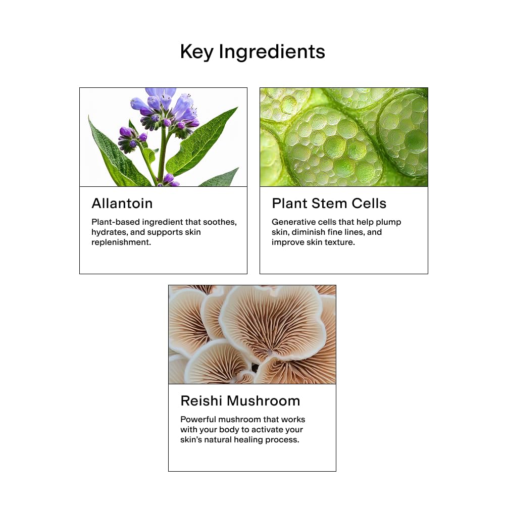 CLEARSTEM - CLEARSTEM Official Imagery - 4