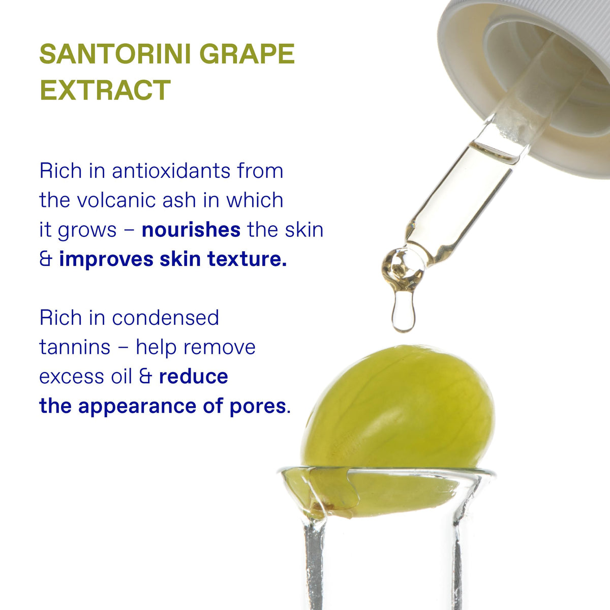 KORRES Santorini Grape Pores Texture Perfecting Duo Serum - KORRES Official Imagery - 6