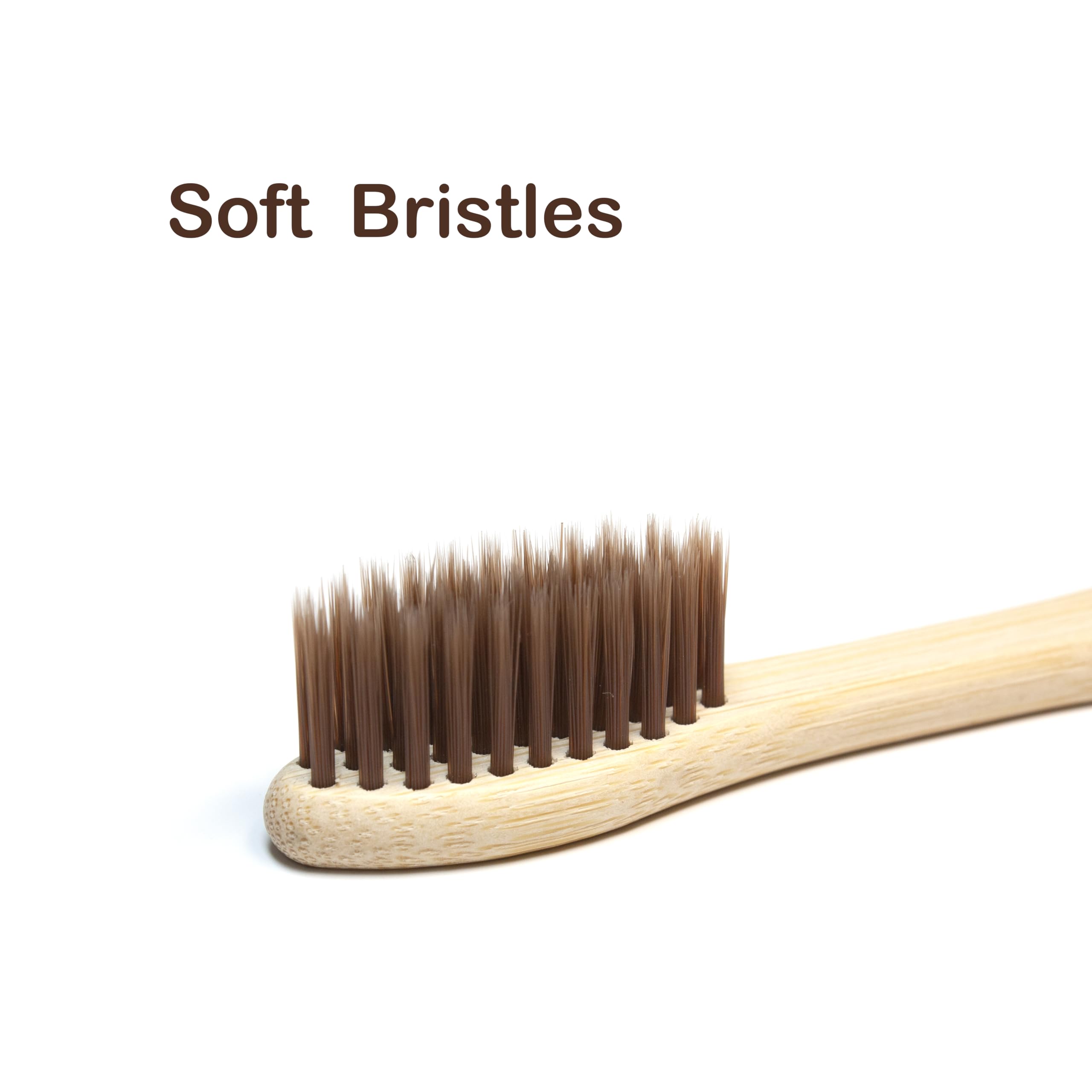 Virgin Forest bamboo toothbrush 10-pack with soft bristles, BPA-free eco-friendly toothbrushes displayed in a natural setting.